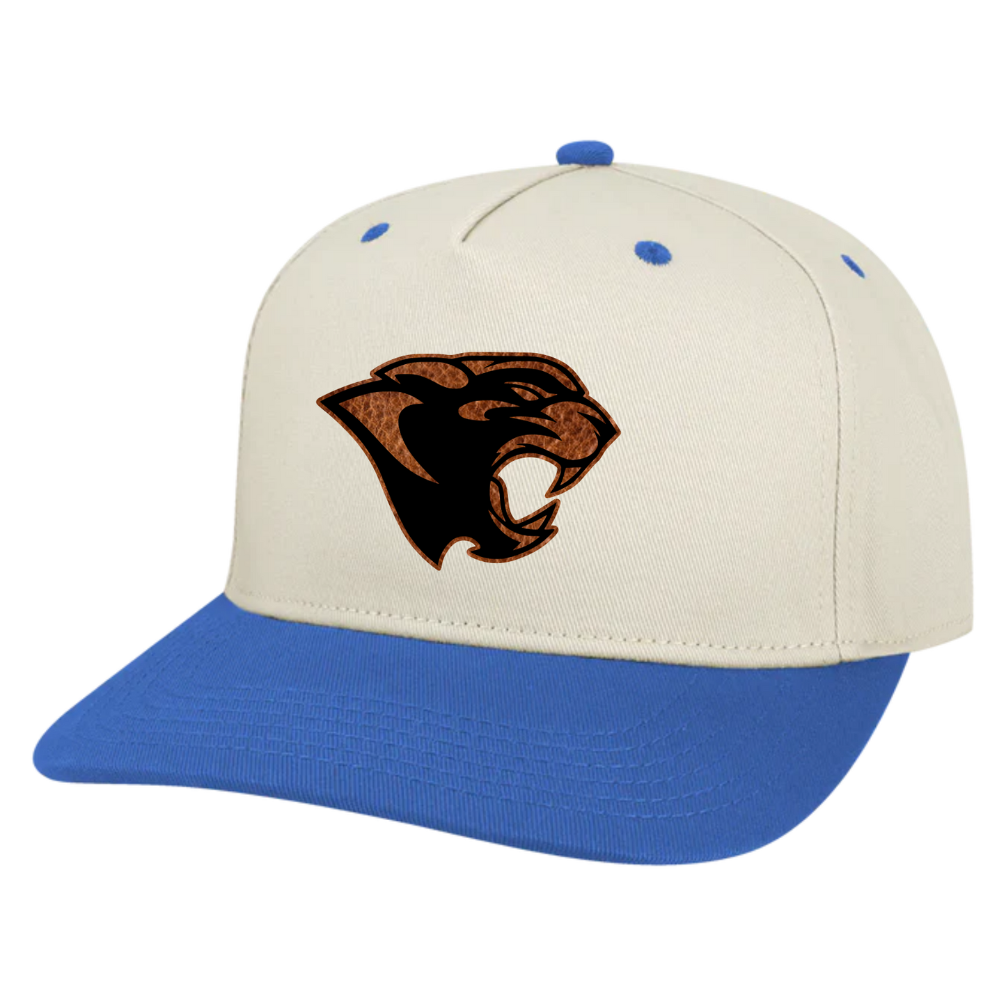 Hershey Panther Head